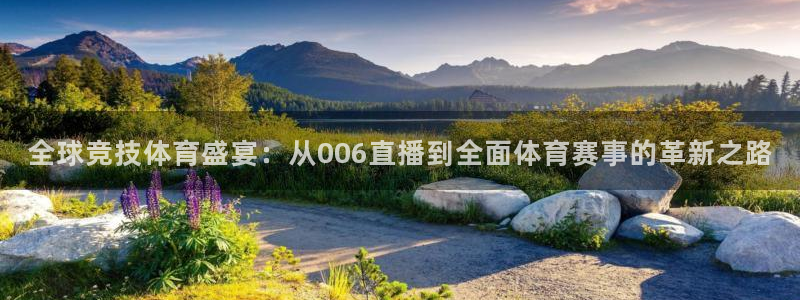 全球竞技体育盛宴：从006直播到全面体育赛事的革新之路