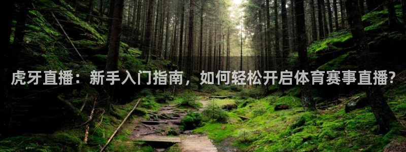 虎牙直播：新手入门指南，如何轻松开启体育赛事直播?